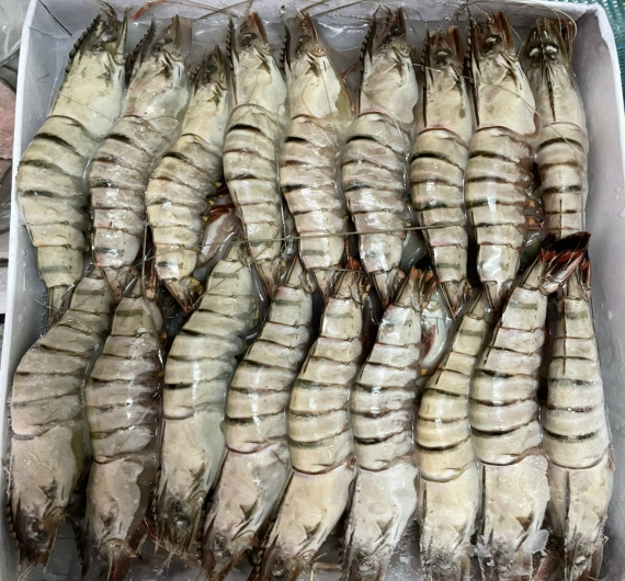 TÔM SÚ QUẢNG CANH ĐÔNG LẠNH